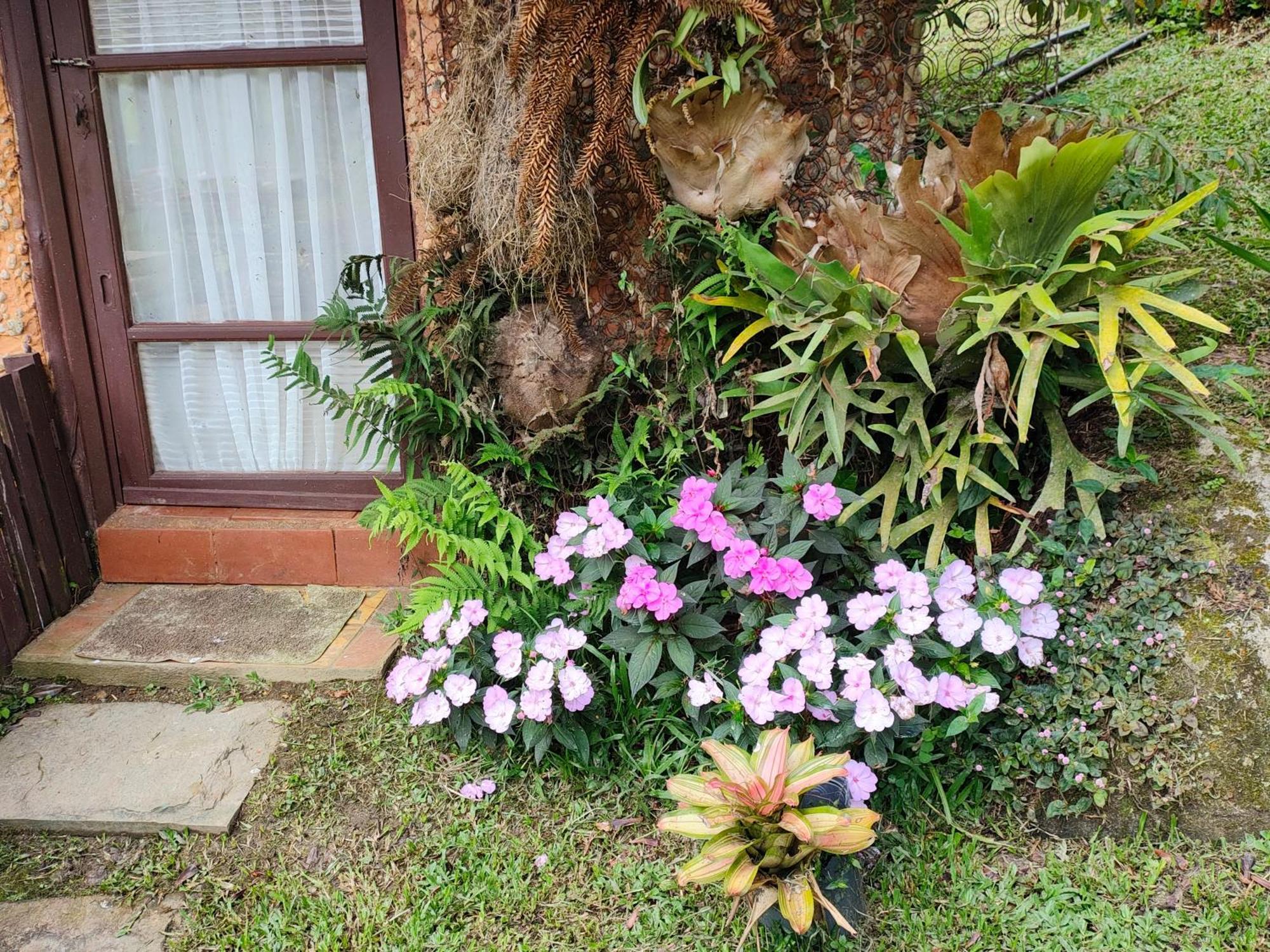 Hotel Sitio Mae Terra Afonso  Esterno foto